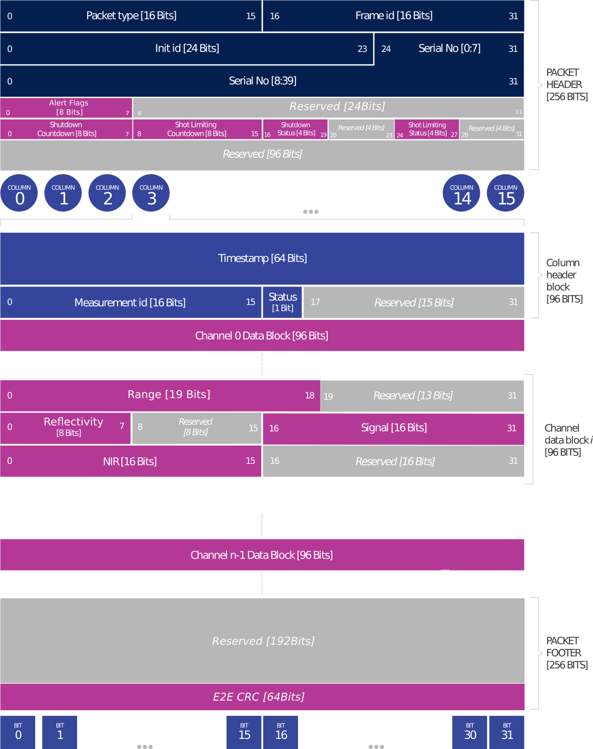 图6:RNG19_RFL8_SIG16_NIR16选项数据包格式